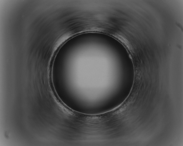 X0000092271135200710041348