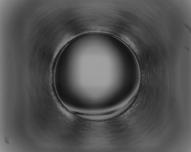 X0000092271136200710041348