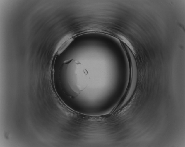 X0000092271146200710041348