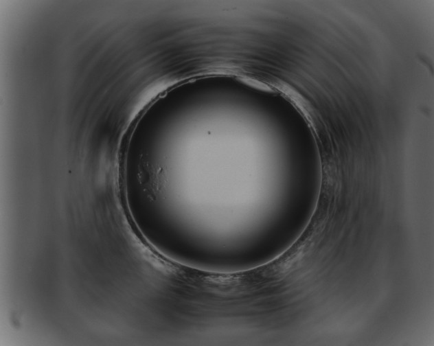 X0000092271147200710041348