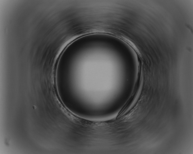 X0000092271148200710041348