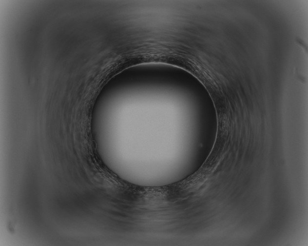 X0000092271153200710041347