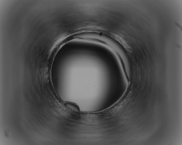 X0000092271164200710041347