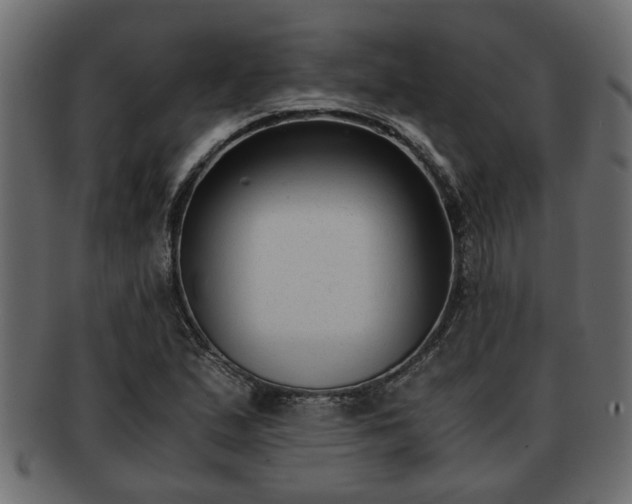 X0000092271167200710041347