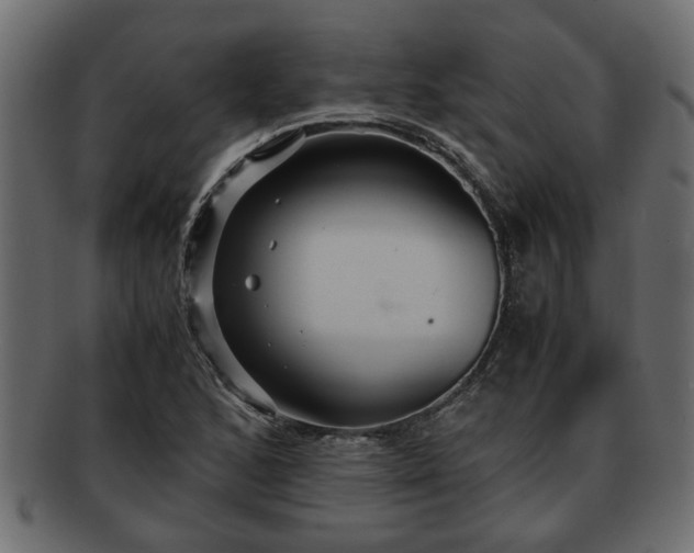 X0000092271168200710041347