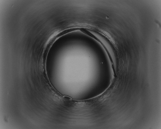 X0000092271172200710041347