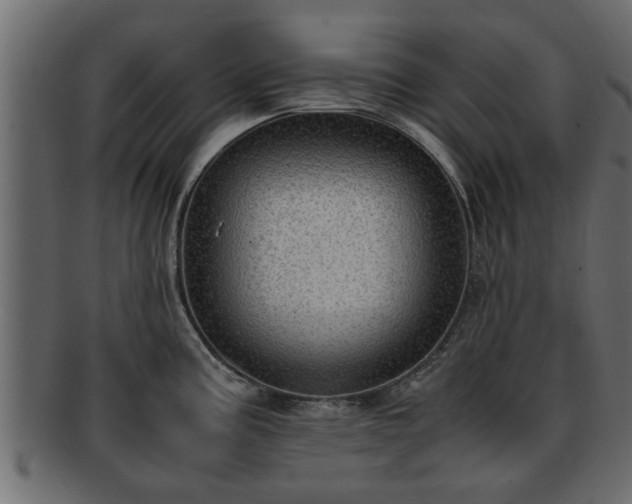 X0000092271195200710041347