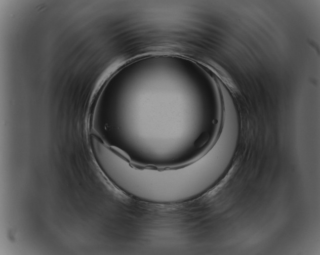 X0000092271196200710041347