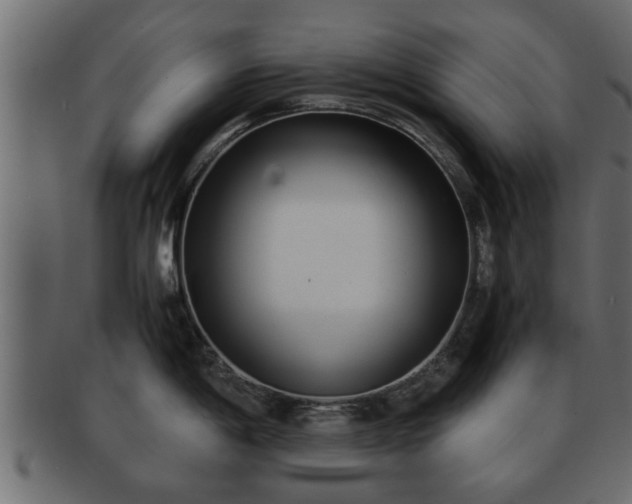 X0000092271198200710041347