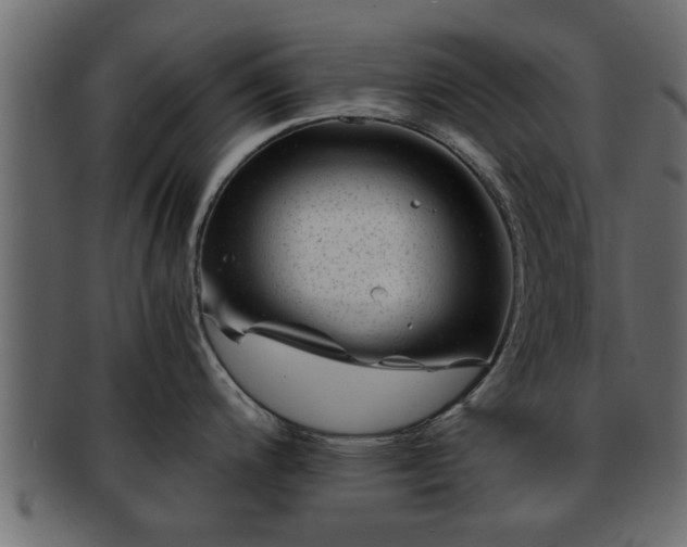 X0000092271200200710041347