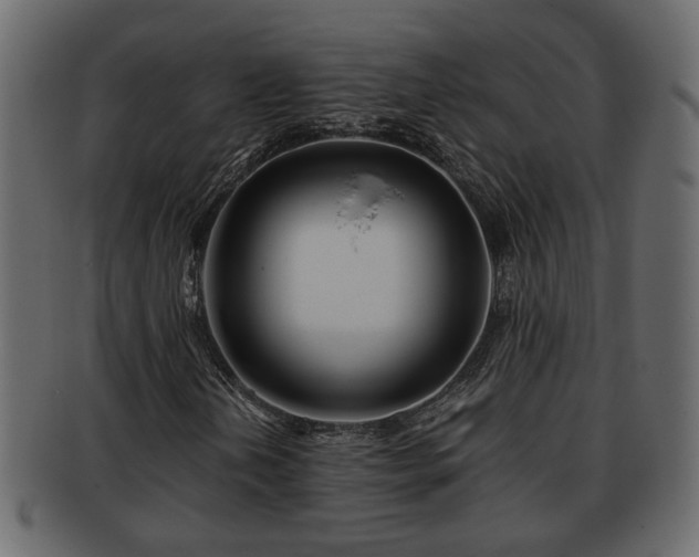 X0000092271202200710041346
