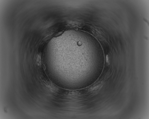 X0000092271203200710041346