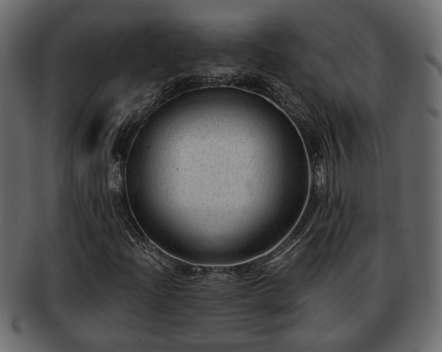 X0000092271204200710041346