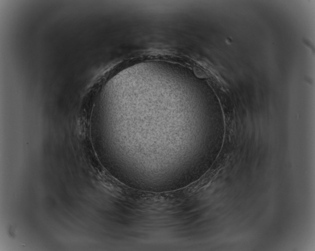 X0000092271207200710041346