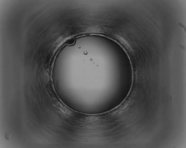 X0000092271212200710041346