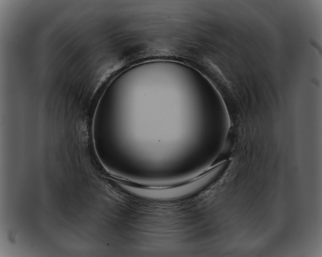 X0000092271218200710041346
