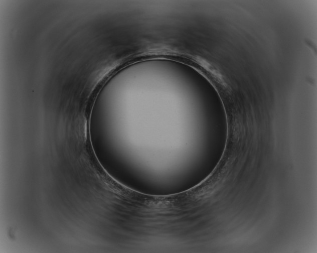 X0000092271221200710041346