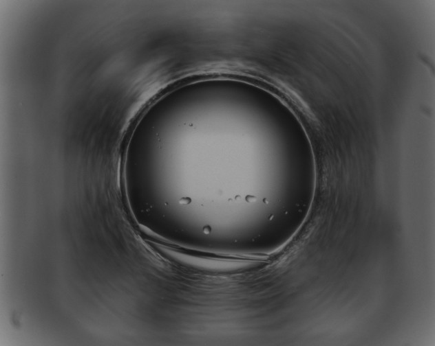 X0000092271224200710041346
