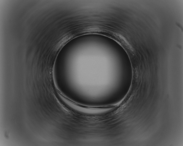X0000092271225200710041346