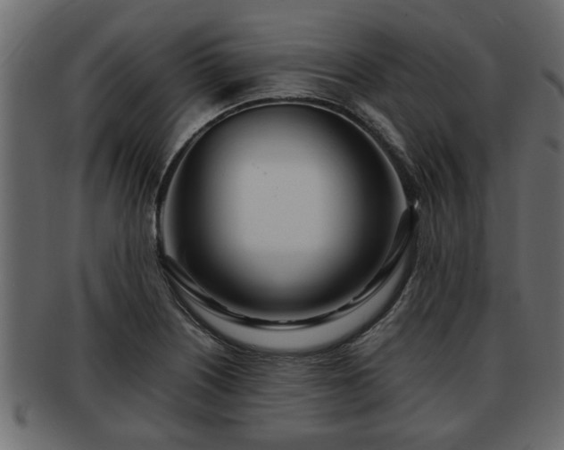 X0000092271226200710041346