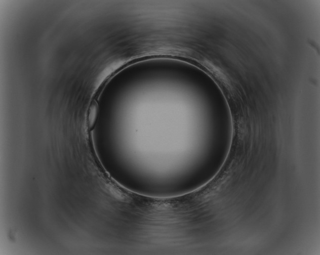 X0000092271230200710041347