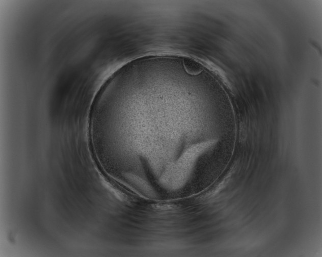X0000092271231200710041347