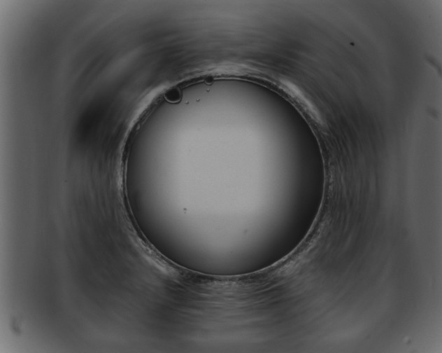 X0000092271232200710041347