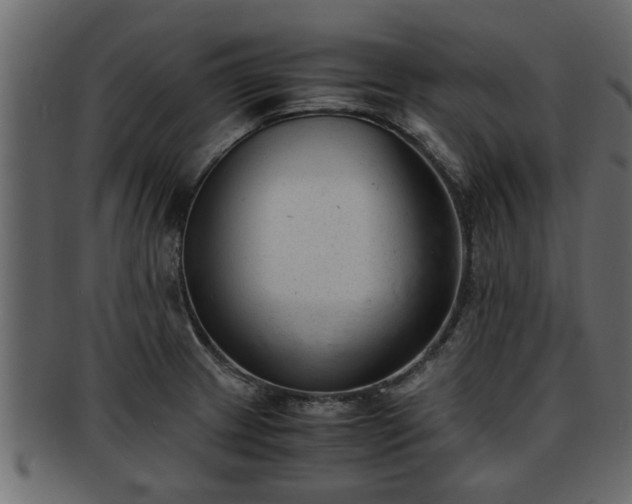 X0000092271233200710041347