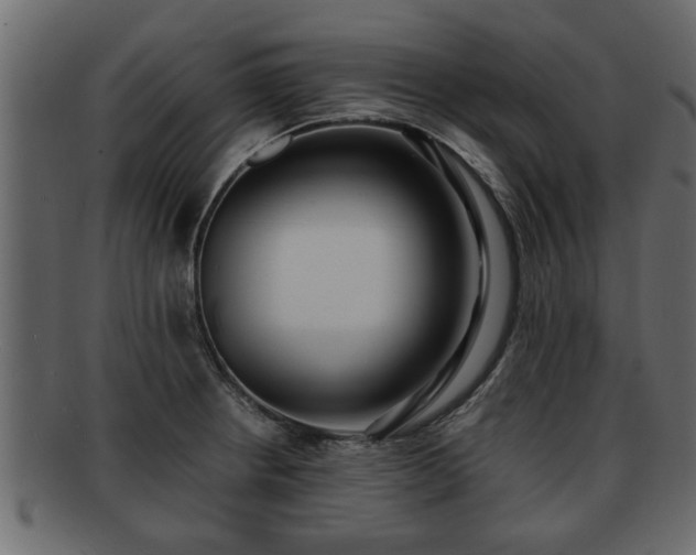X0000092271234200710041347