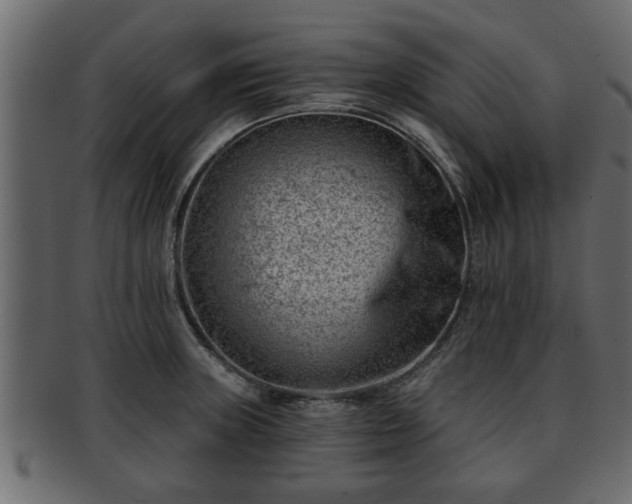 X0000092271235200710041347