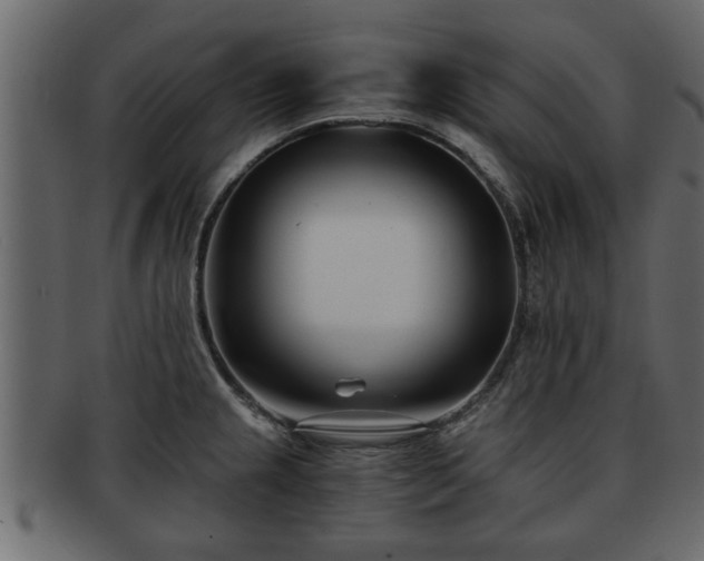 X0000092271237200710041347
