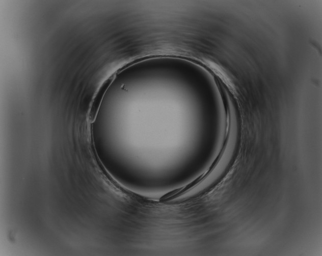 X0000092271238200710041347