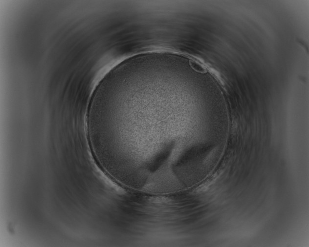 X0000092271239200710041347