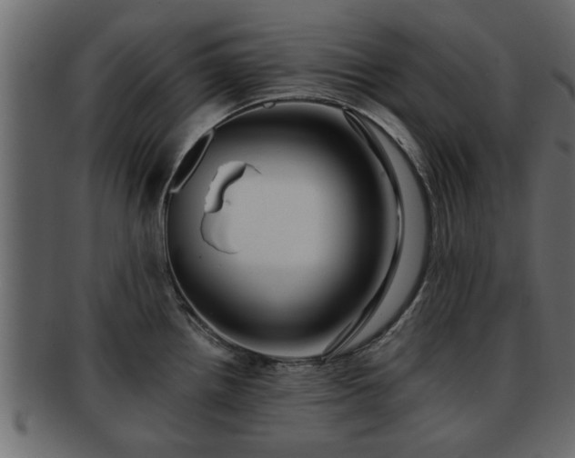 X0000092271242200710041347