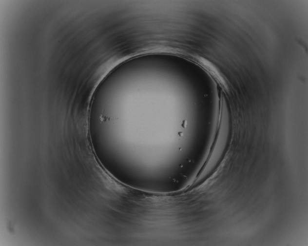 X0000092271244200710041347