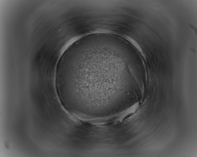 X0000092271245200710041347