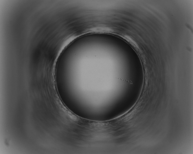 X0000092271248200710041347