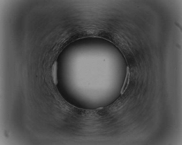 X0000092271249200710041346