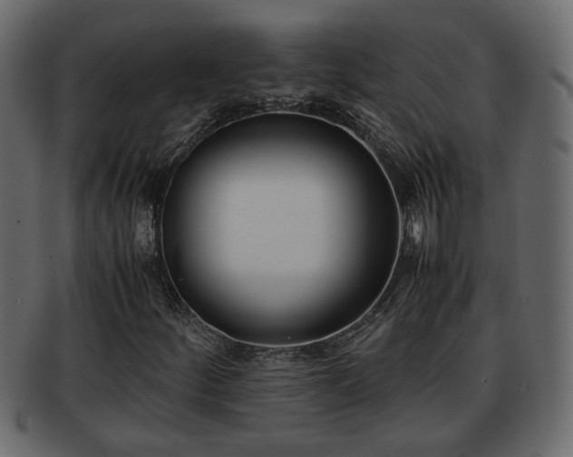 X0000092271252200710041346