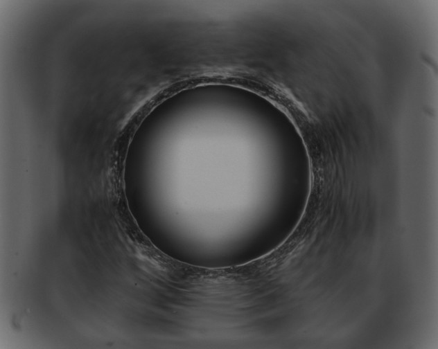 X0000092271256200710041346