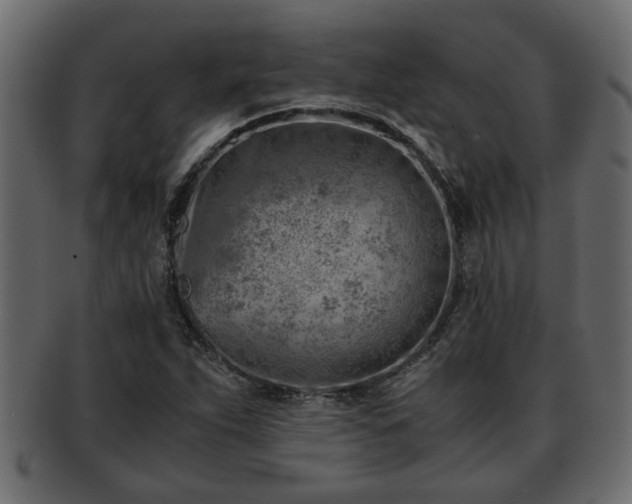 X0000092271263200710041346