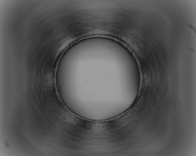 X0000092271266200710041346