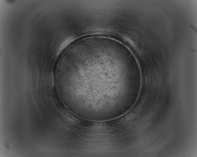 X0000092271267200710041346
