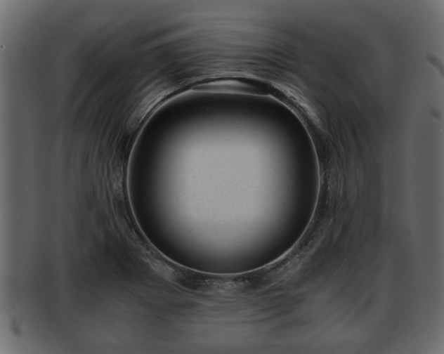 X0000092271273200710041346