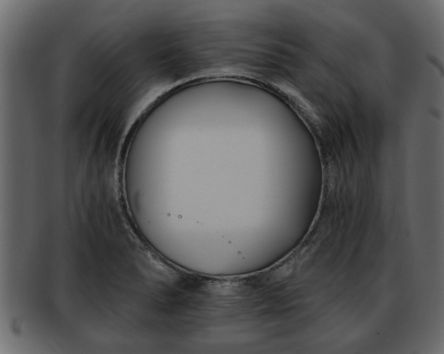 X0000092271278200710041346