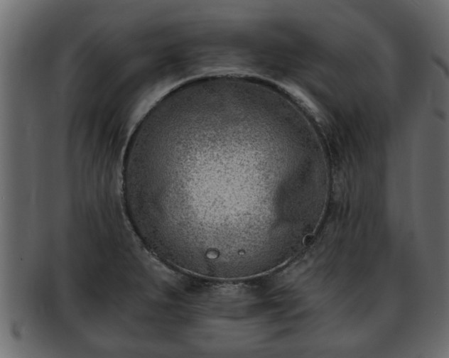 X0000092271279200710041346