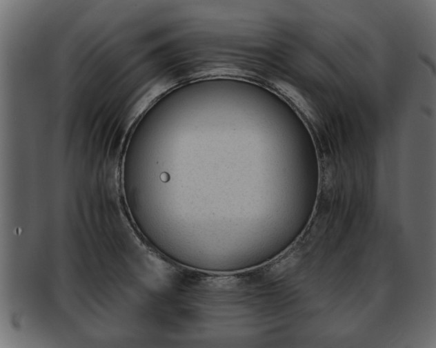 X0000092271282200710041346