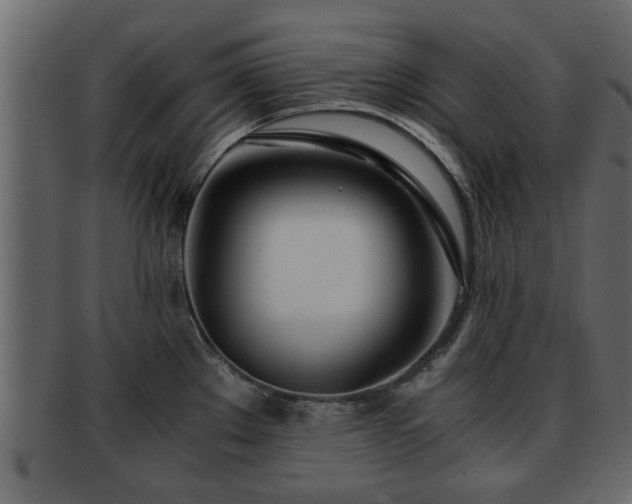 X0000092271289200710041346