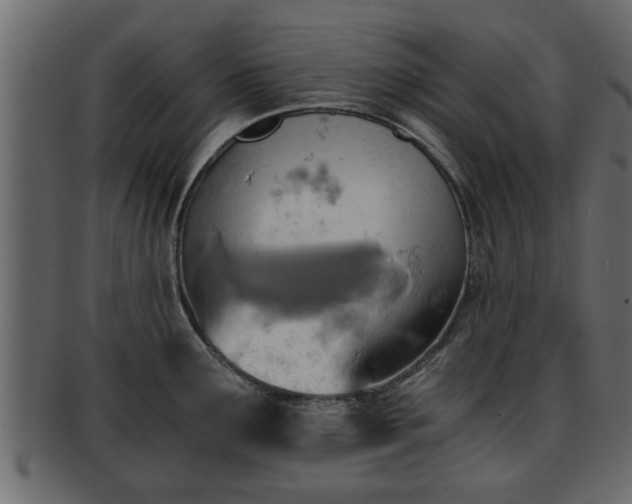 X0000092271291200710041346