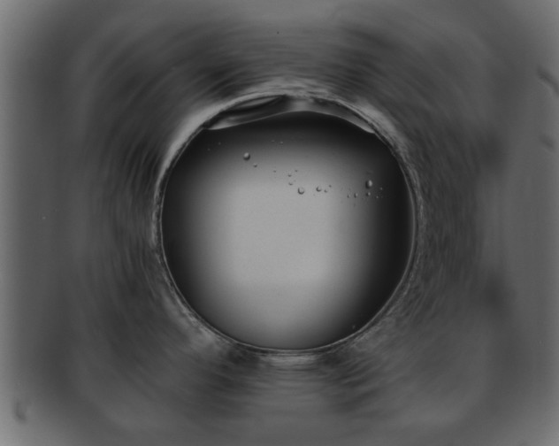 X0000092271296200710041346